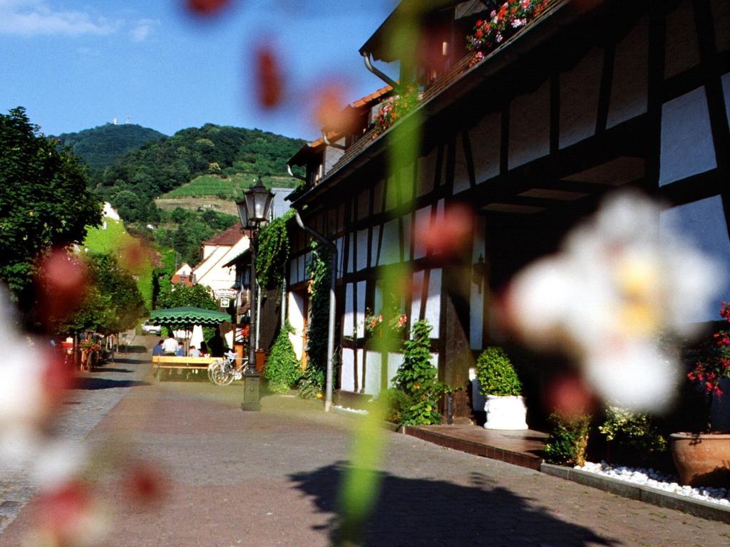 Hotel Garni Zur Bergstrasse Zwingenberg  외부 사진